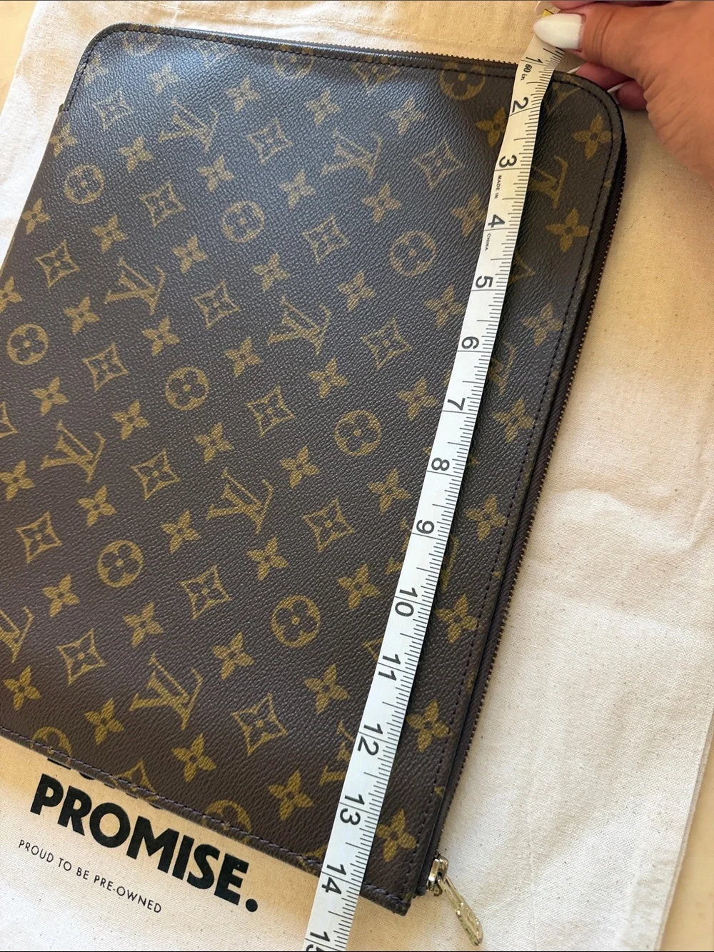 Louis Vuitton Monogram Canvas Laptop Sleeve - Brown & Gold